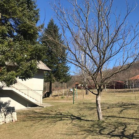 Apartman “Reka Gradac” Valjevo Buitenkant foto
