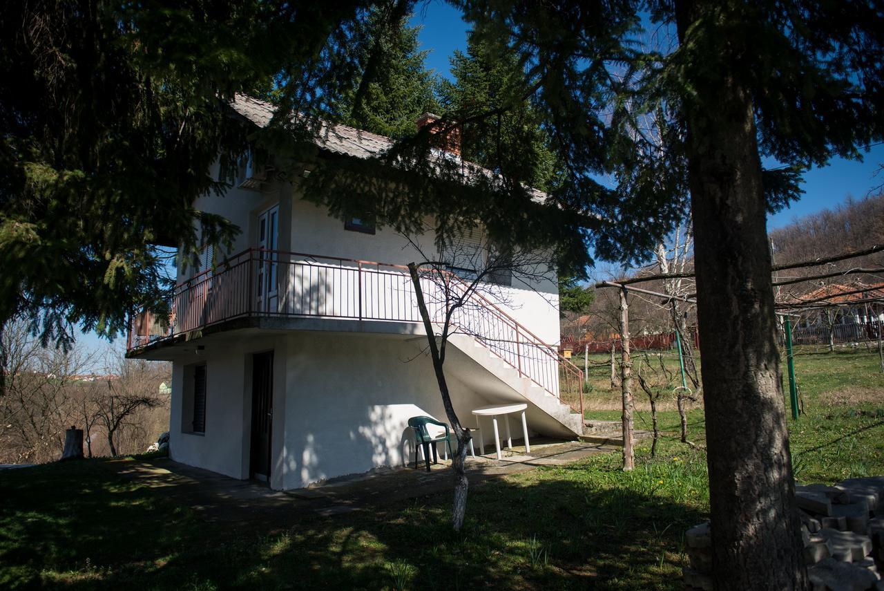 Apartman “Reka Gradac” Valjevo Buitenkant foto