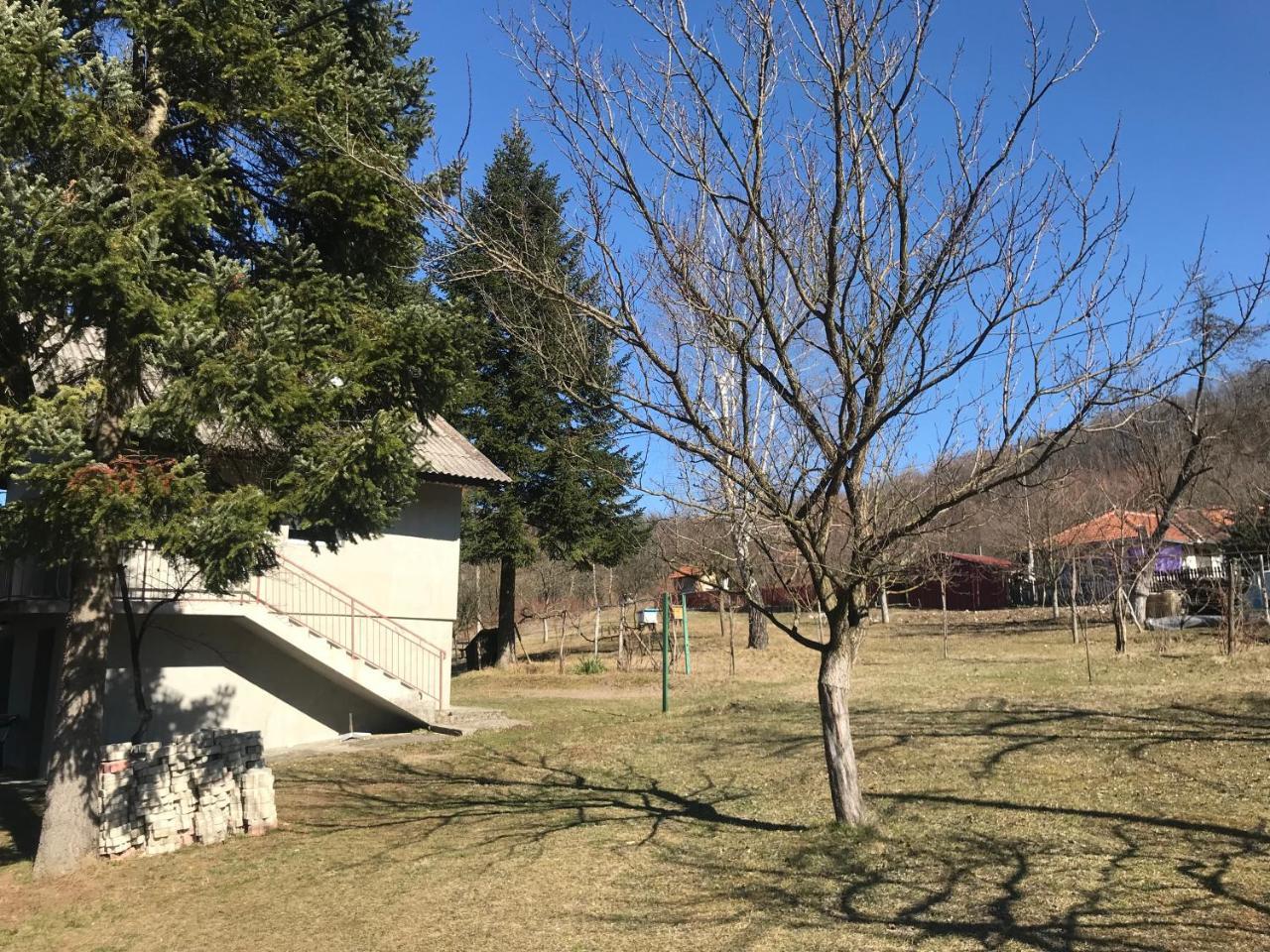Apartman “Reka Gradac” Valjevo Buitenkant foto
